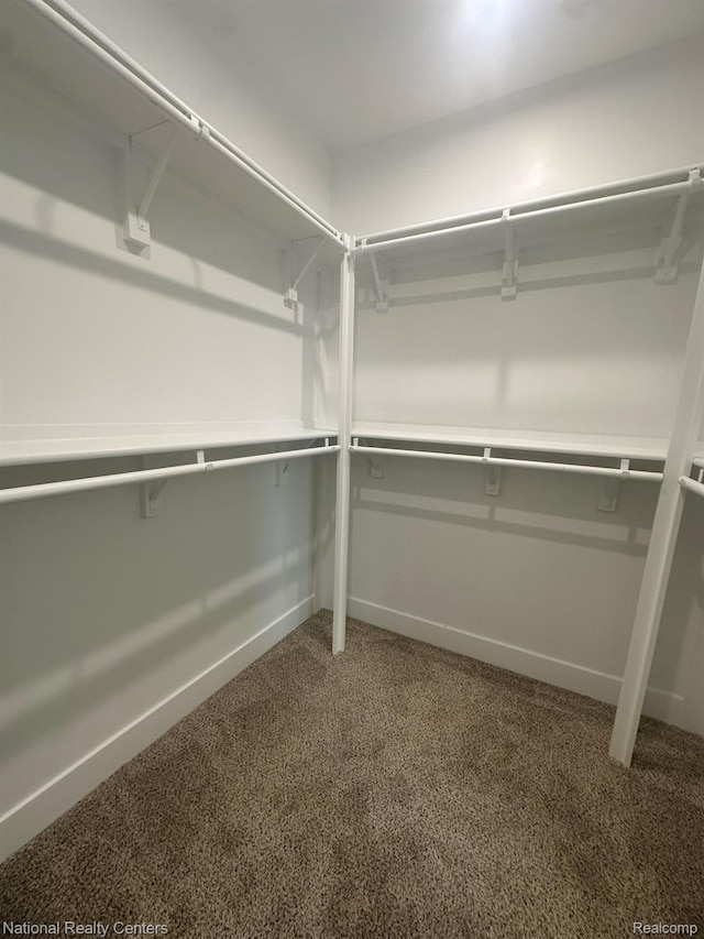 1666 Albany St, Ferndale, MI 48220 - walk in closet with carpet flooring