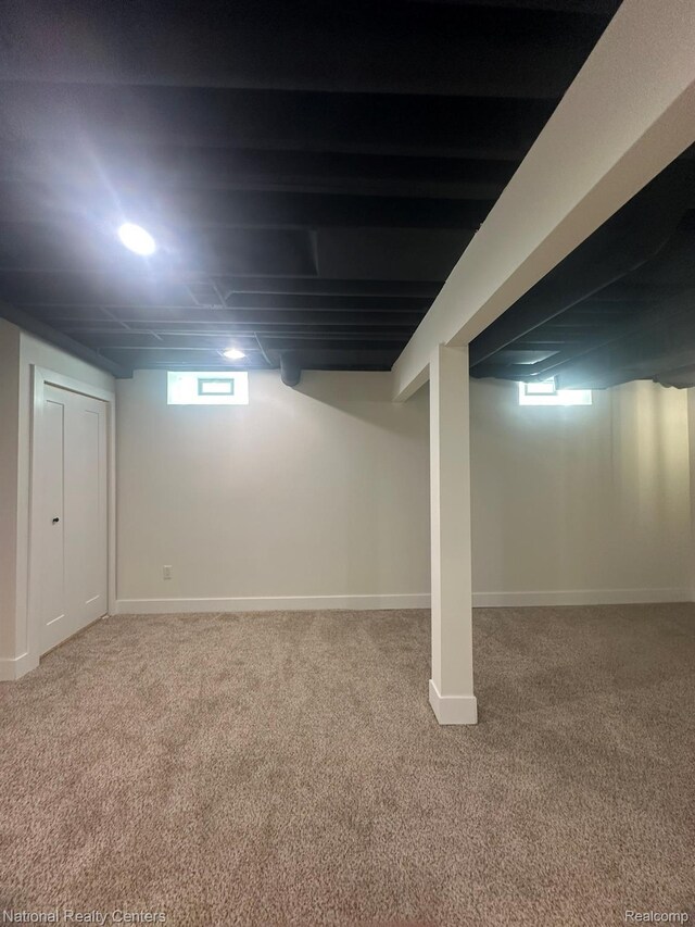 1666 Albany St, Ferndale, MI 48220 - below grade area featuring carpet floors