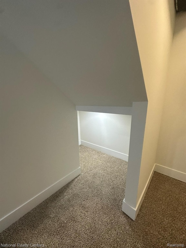 1666 Albany St, Ferndale, MI 48220 - additional living space with carpet and lofted ceiling