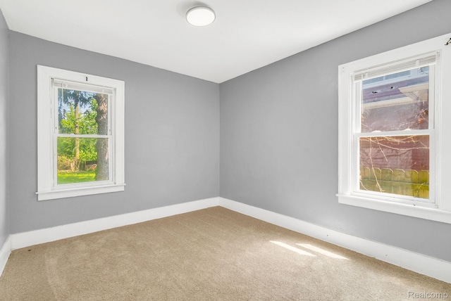 12057 Rosemary St, Detroit, MI 48213 - photo 21