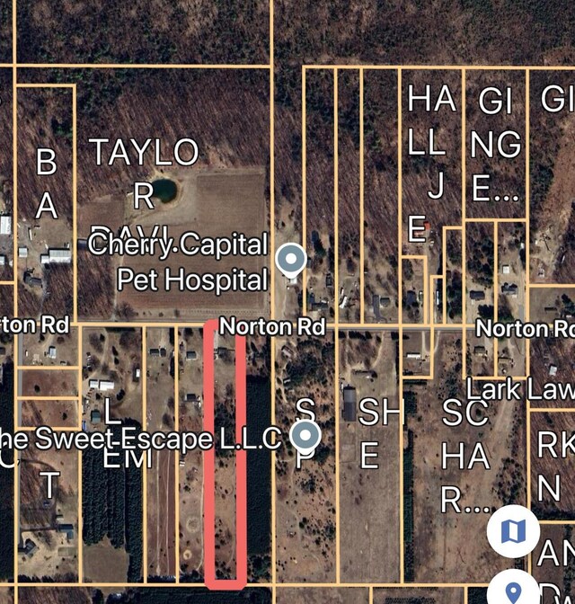 4535 Norton Dr, Grawn, MI 49637