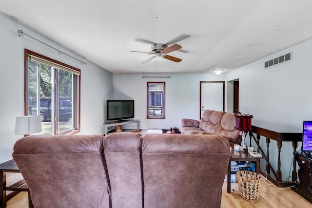 287-289 S Waverly Rd, Holland, MI 49423 - living room featuring light wood-style floors and a ceiling fan