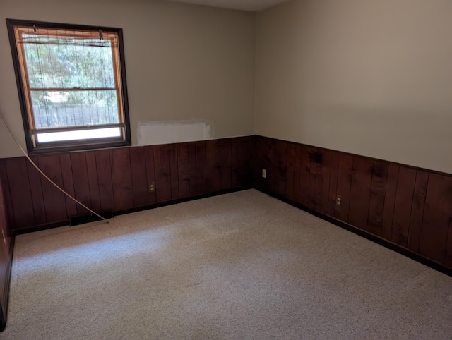 287-289 S Waverly Rd, Holland, MI 49423 - spare room featuring a wainscoted wall, carpet flooring, and wooden walls