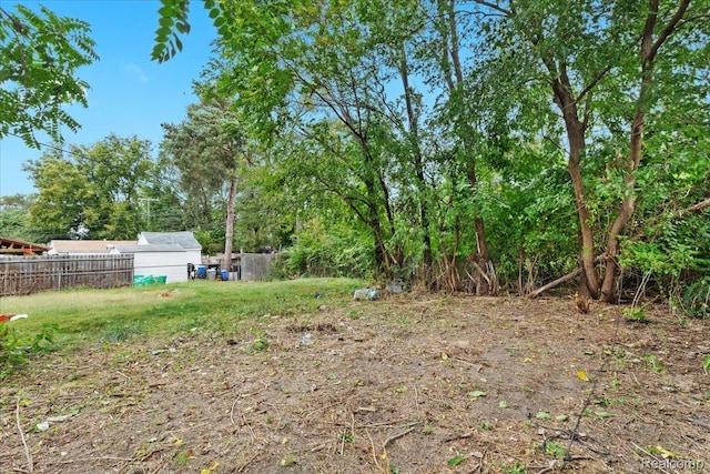 15732 Monte Vista St, Detroit, MI 48238 - photo 9
