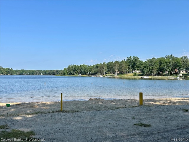 7351 Chain Lake Dr, South Branch, MI 48761 - water view