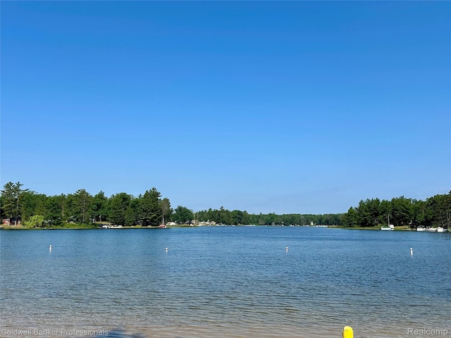7351 Chain Lake Dr, South Branch, MI 48761 - water view