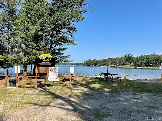 7351 Chain Lake Dr, South Branch, MI 48761 - surrounding community with a water view