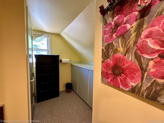 7351 Chain Lake Dr, South Branch, MI 48761 - laundry room with carpet flooring