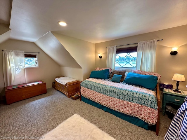 7351 Chain Lake Dr, South Branch, MI 48761 - bedroom featuring carpet floors and lofted ceiling