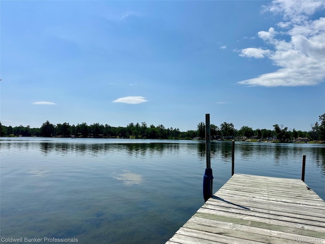 7351 Chain Lake Dr, South Branch, MI 48761 - dock area featuring a water view