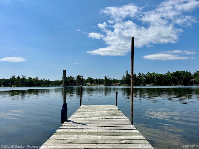 7351 Chain Lake Dr, South Branch, MI 48761 - dock area with a water view