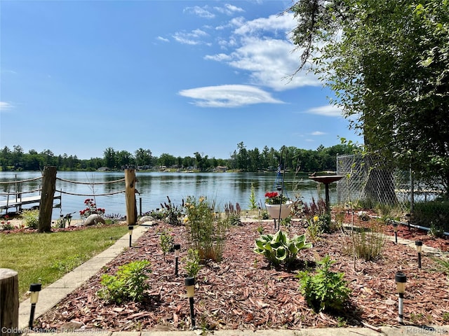 7351 Chain Lake Dr, South Branch, MI 48761 - water view
