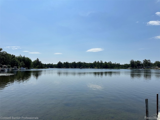 7351 Chain Lake Dr, South Branch, MI 48761 - water view