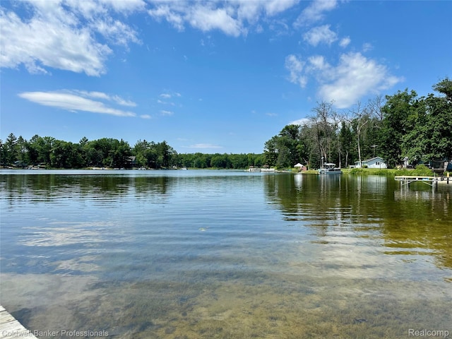 7351 Chain Lake Dr, South Branch, MI 48761 - water view