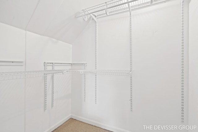 817 Central Ave, Holland, MI 49423 - spacious closet featuring vaulted ceiling