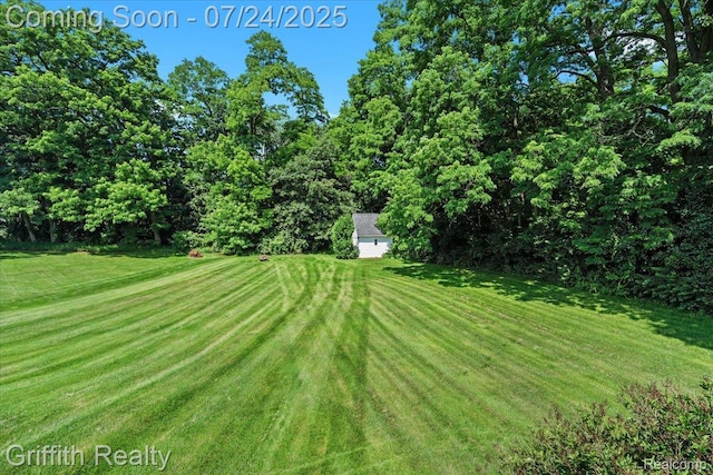 1805 Mist Wood Dr, Howell, MI 48843 - photo 44