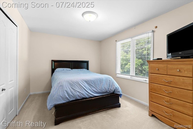 1805 Mist Wood Dr, Howell, MI 48843 - photo 27
