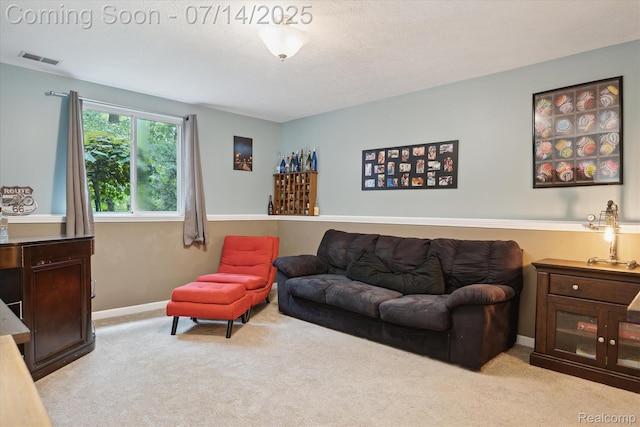 9481 Common Trl, Pinckney, MI 48169 - living area featuring carpet floors and baseboards