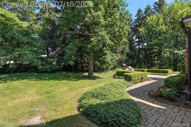 748 Waddington St, Bloomfield Hills, MI 48301 - view of green lawn