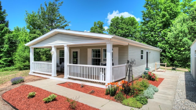 3921 Woodman Rd, South Boardman, MI 49680 - photo 3
