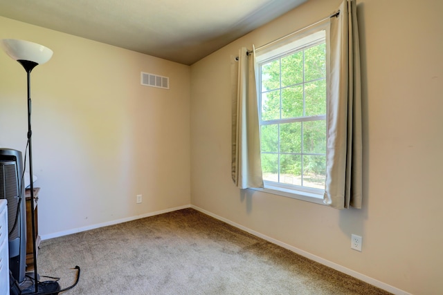 3921 Woodman Rd, South Boardman, MI 49680 - photo 29