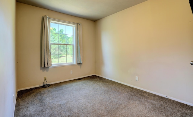 3921 Woodman Rd, South Boardman, MI 49680 - photo 31