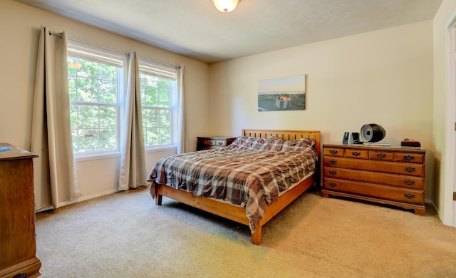 3921 Woodman Rd, South Boardman, MI 49680 - photo 33