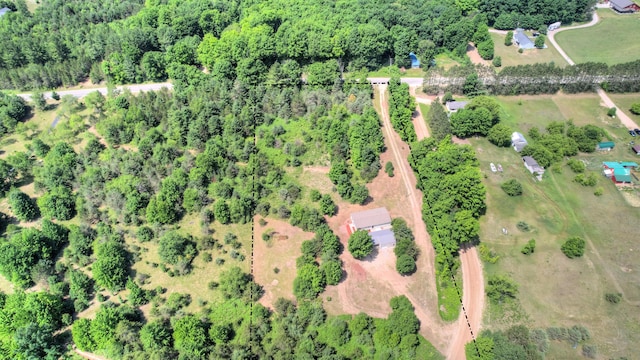 3921 Woodman Rd, South Boardman, MI 49680 - photo 39