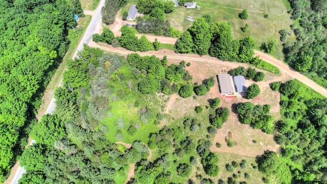 3921 Woodman Rd, South Boardman, MI 49680 - photo 40