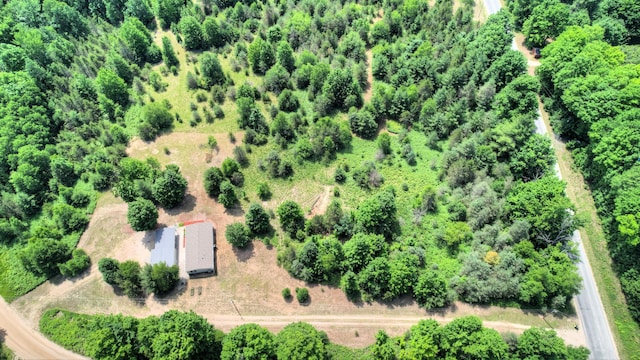 3921 Woodman Rd, South Boardman, MI 49680 - photo 42