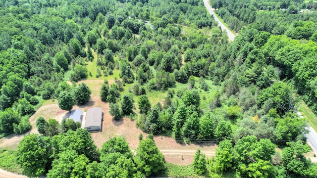 3921 Woodman Rd, South Boardman, MI 49680 - photo 43