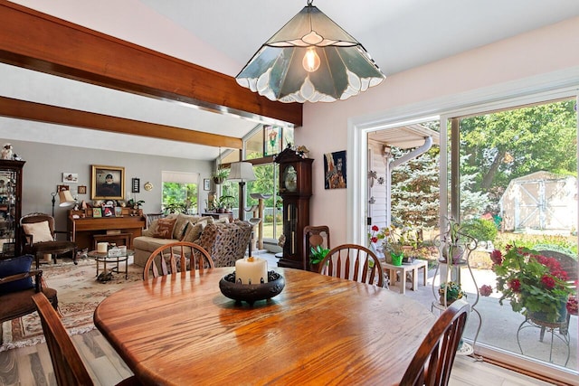 916 Hillcrest Dr, Adrian, MI 49221 - dining space featuring wood finished floors