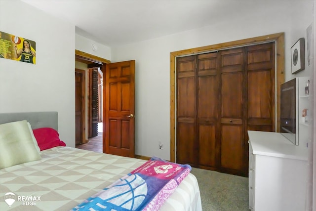 3078 Green Corners Rd, Lapeer, MI 48446 - bedroom featuring a closet