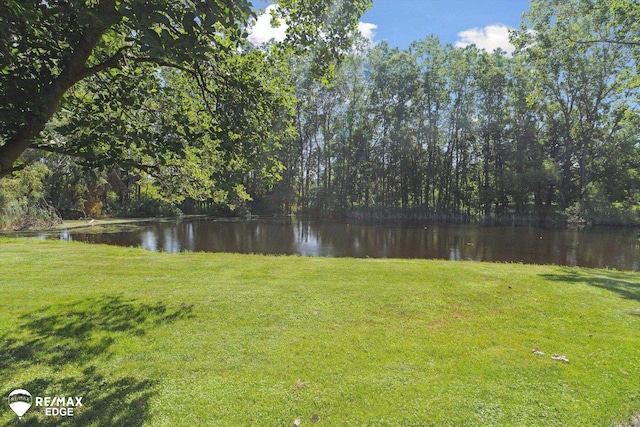 3078 Green Corners Rd, Lapeer, MI 48446 - view of grassy yard featuring a water view and a view of trees