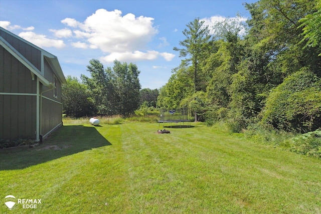 3078 Green Corners Rd, Lapeer, MI 48446 - view of grassy yard with a trampoline