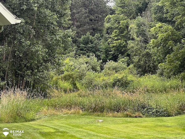 3078 Green Corners Rd, Lapeer, MI 48446 - view of grassy yard with a wooded view