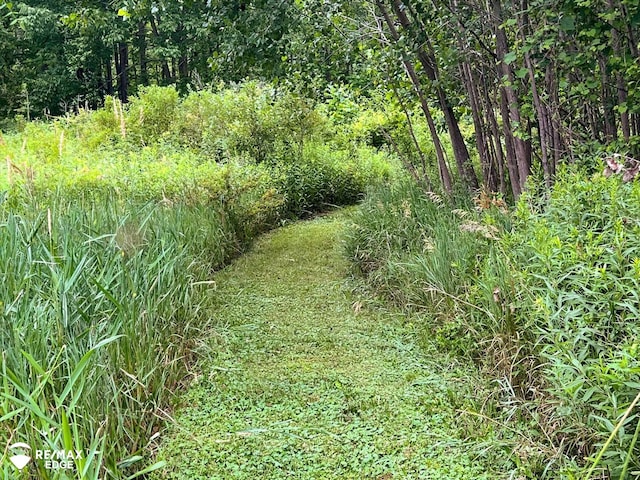 3078 Green Corners Rd, Lapeer, MI 48446 - view of local wilderness