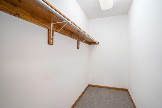744 Tournament Cir, Norton Shores, MI 49444 - photo 11