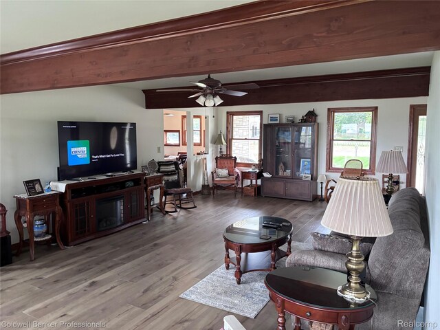 39883 Duluth St, Harrison Township, MI 48045 - photo 29