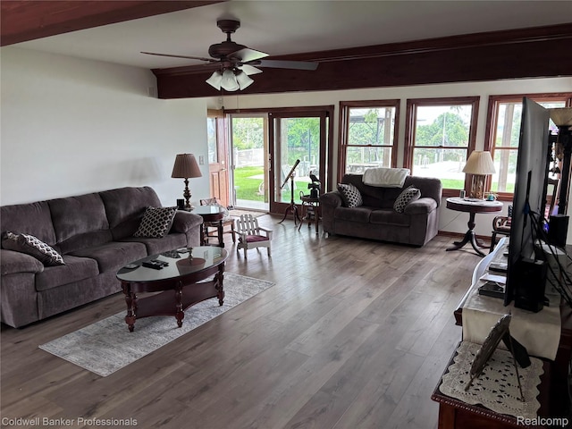 39883 Duluth St, Harrison Township, MI 48045 - photo 32