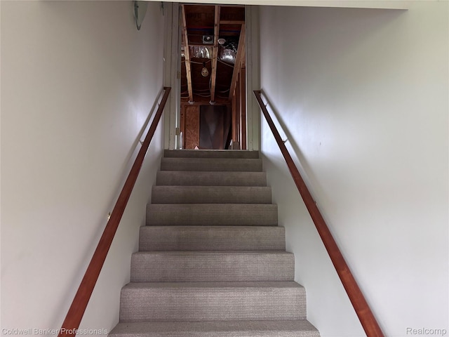 39883 Duluth St, Harrison Township, MI 48045 - photo 34