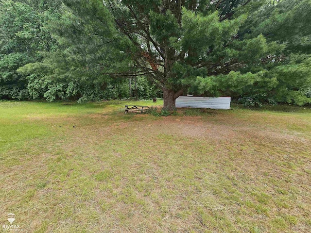 2789 Grass Lake Ave, Clare, MI 48632 - view of grassy yard