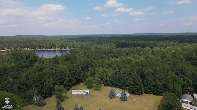 2789 Grass Lake Ave, Clare, MI 48632 - drone / aerial view of a forest and a large body of water