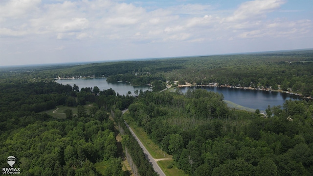 2789 Grass Lake Ave, Clare, MI 48632 - aerial view of a forest and a nearby body of water