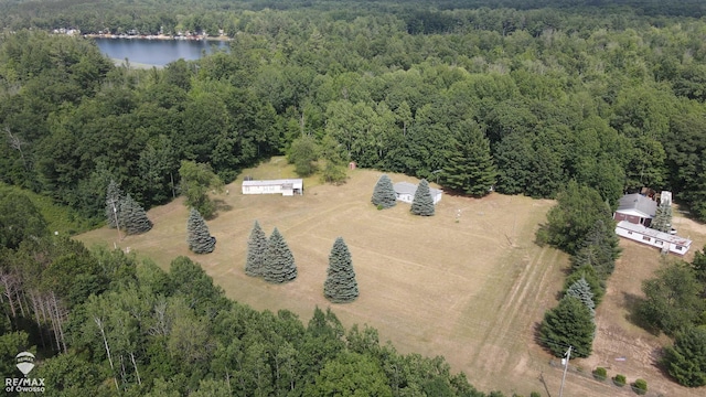 2789 Grass Lake Ave, Clare, MI 48632 - aerial view of property and surrounding area with a heavily wooded area and a large body of water
