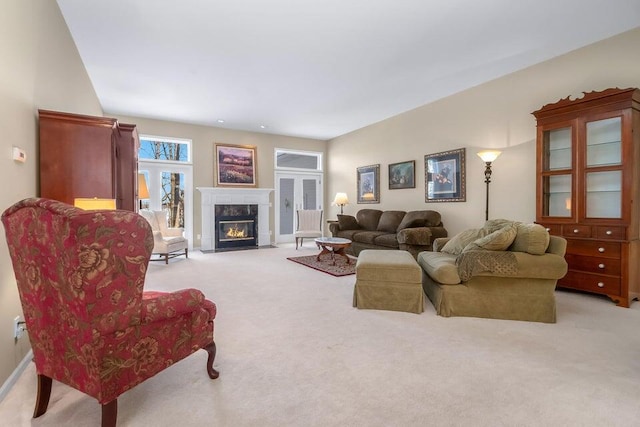 310 Sycamore St, Litchfield, MI 49252 - living area featuring light carpet and a premium fireplace