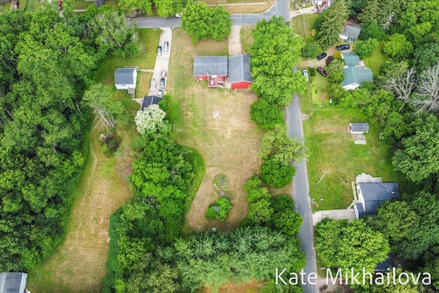 5256 Beverly Ave, Kalamazoo, MI 49004 - photo 29