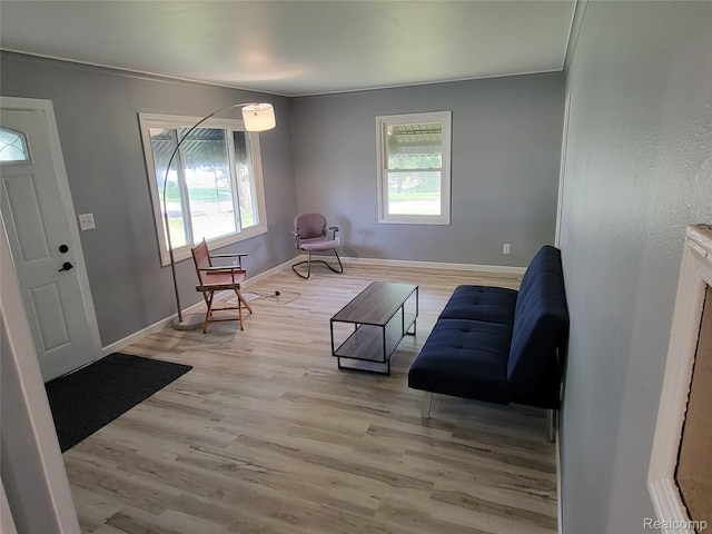 112 Darragh Dr, Battle Creek, MI 49015 - living area with healthy amount of natural light and light wood-style flooring