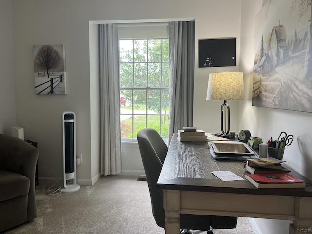 3118 Birch Run, Adrian, MI 49221 - carpeted office space featuring plenty of natural light