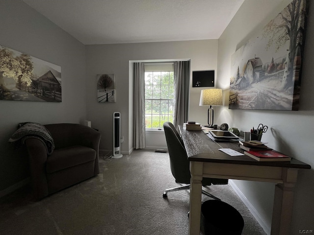 3118 Birch Run, Adrian, MI 49221 - carpeted home office with baseboards